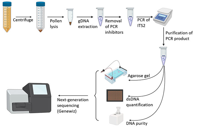 Pollen DNA Sequencing