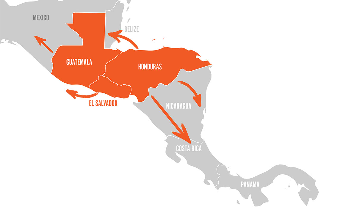 Regional Approach Graphic