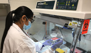 University of Houston Graduate Student Dimple Chavan utilizes a PCR Hood to set up DNA amplification reaction tubes.